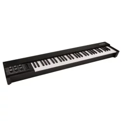Deals ???? Moog 953 Duophonic 61 Note Keyboard - Black ⭐