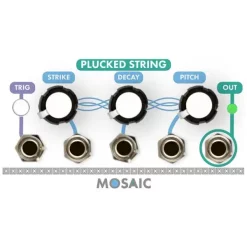 Coupon ???? Mosaic Plucked String 1U Eurorack Module - White ????
